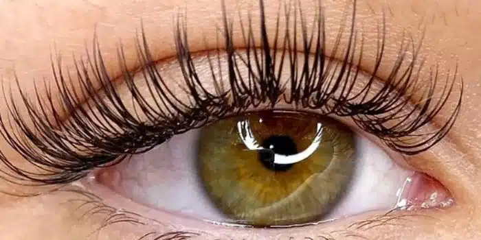 Cil à Cil (1) Cil à Cil | Instant beauté by H